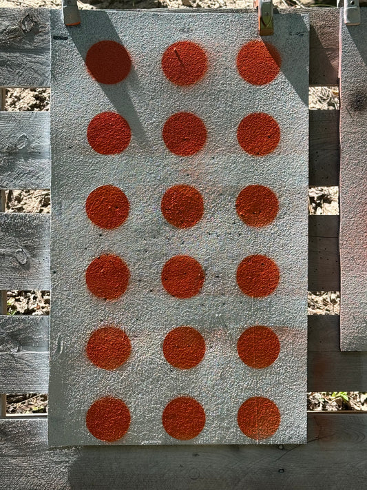 Full Sized Versatile Rubber Target